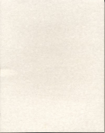 Misc. Scan