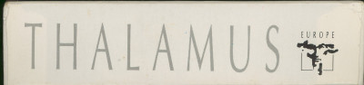 Inlay Scan
